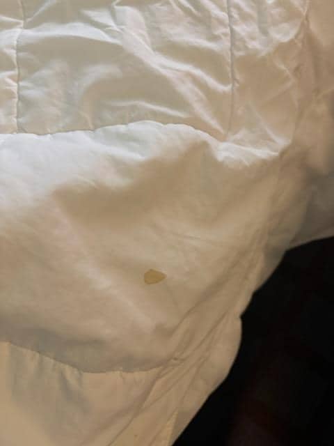 Bedding folded under the bed to hide the stain