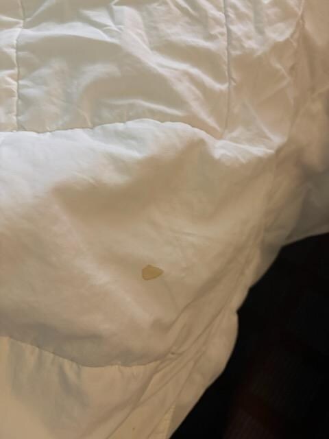 Bedding folded under the bed to hide the stain