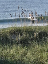 View through dunes
