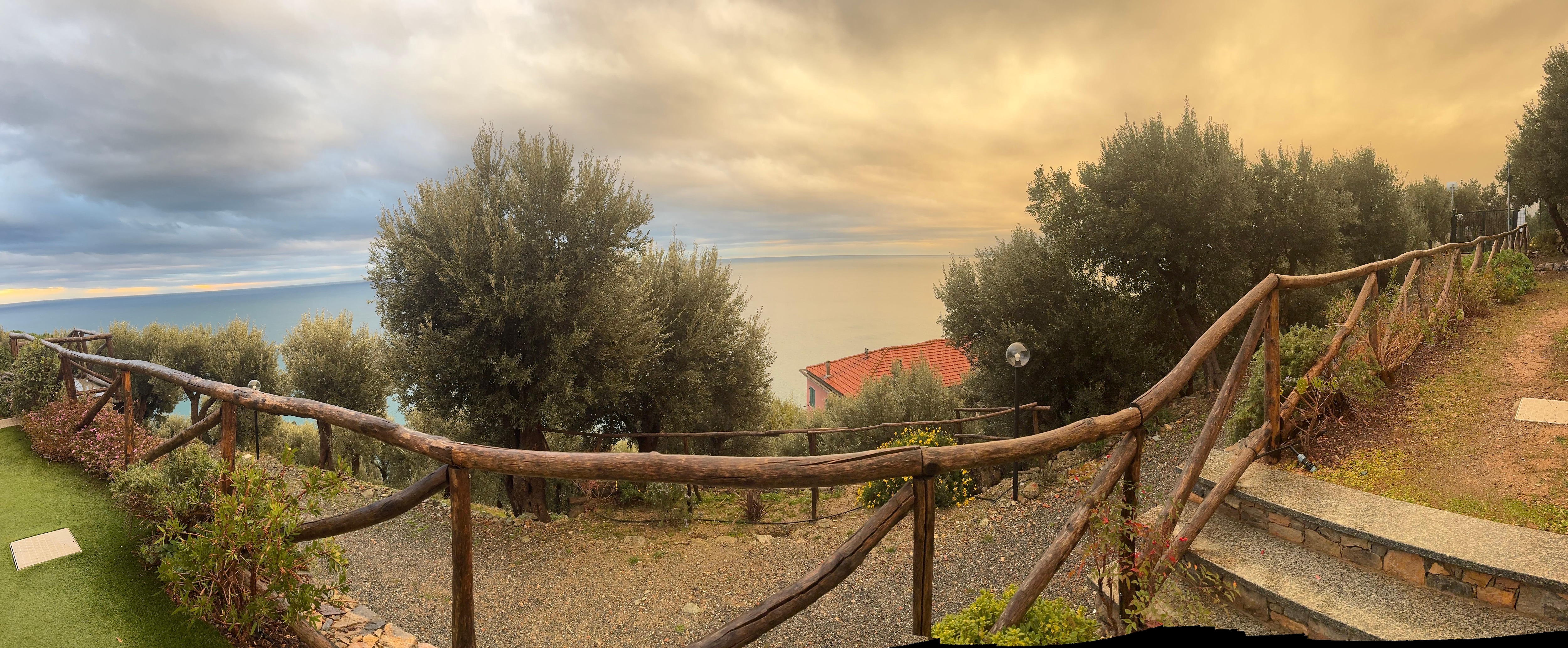 Panoramic view from room