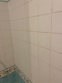 Tile mold