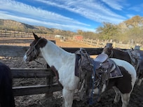 You can do a trail ride at “Dead Horse Ranch” in Cottonwood.