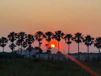 Sunset on walk down to the beach.