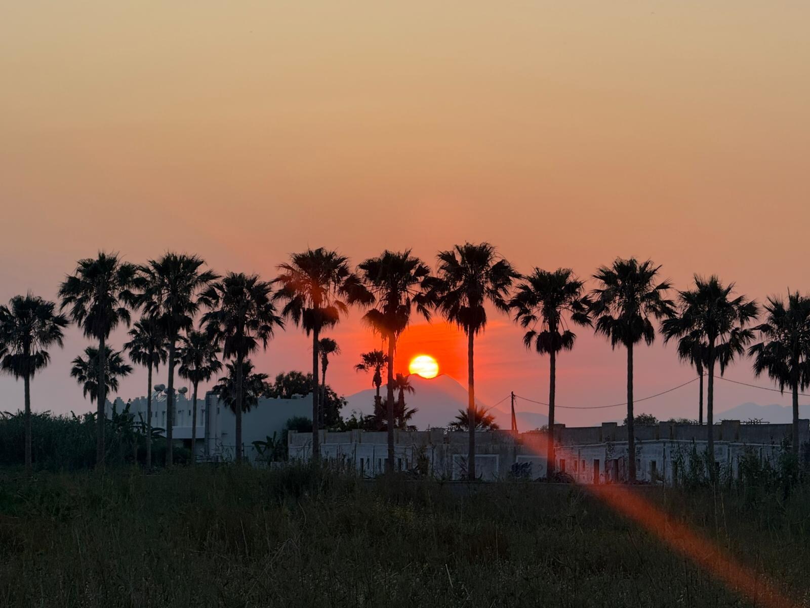 Sunset on walk down to the beach.