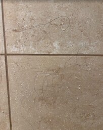 Long hairs in the shower (so gross)