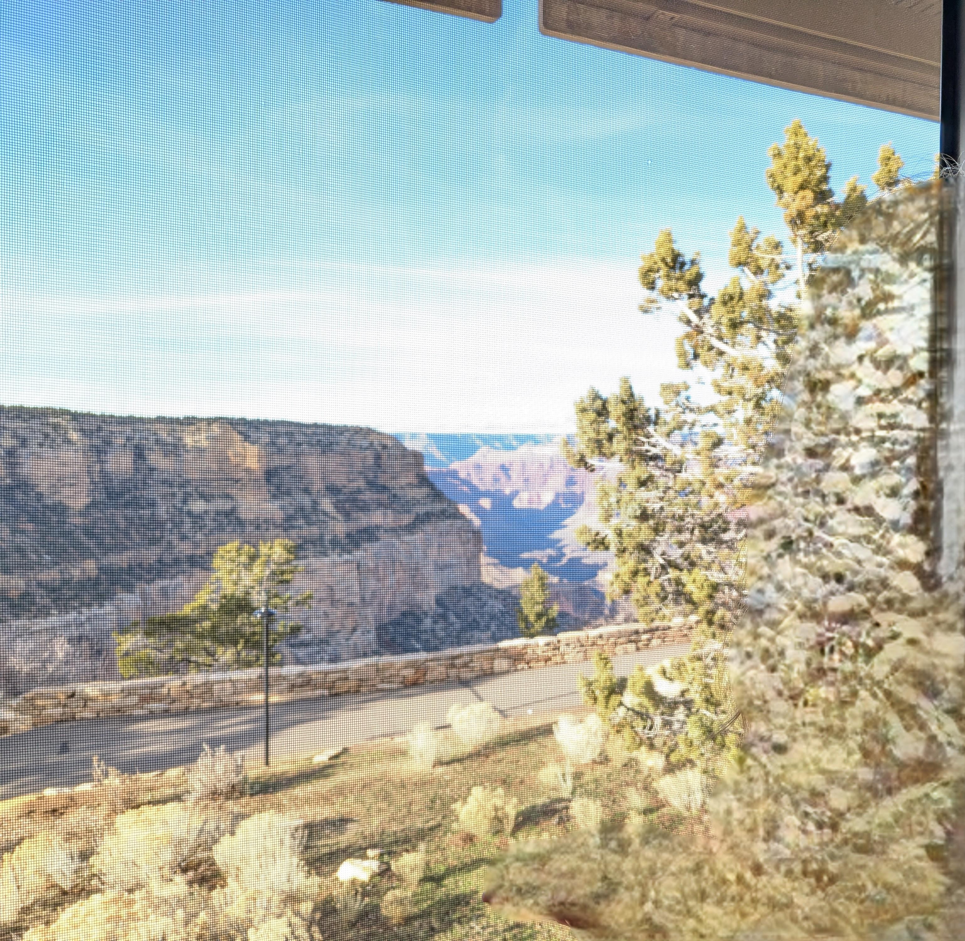 View from our partial-view room with two queen beds.