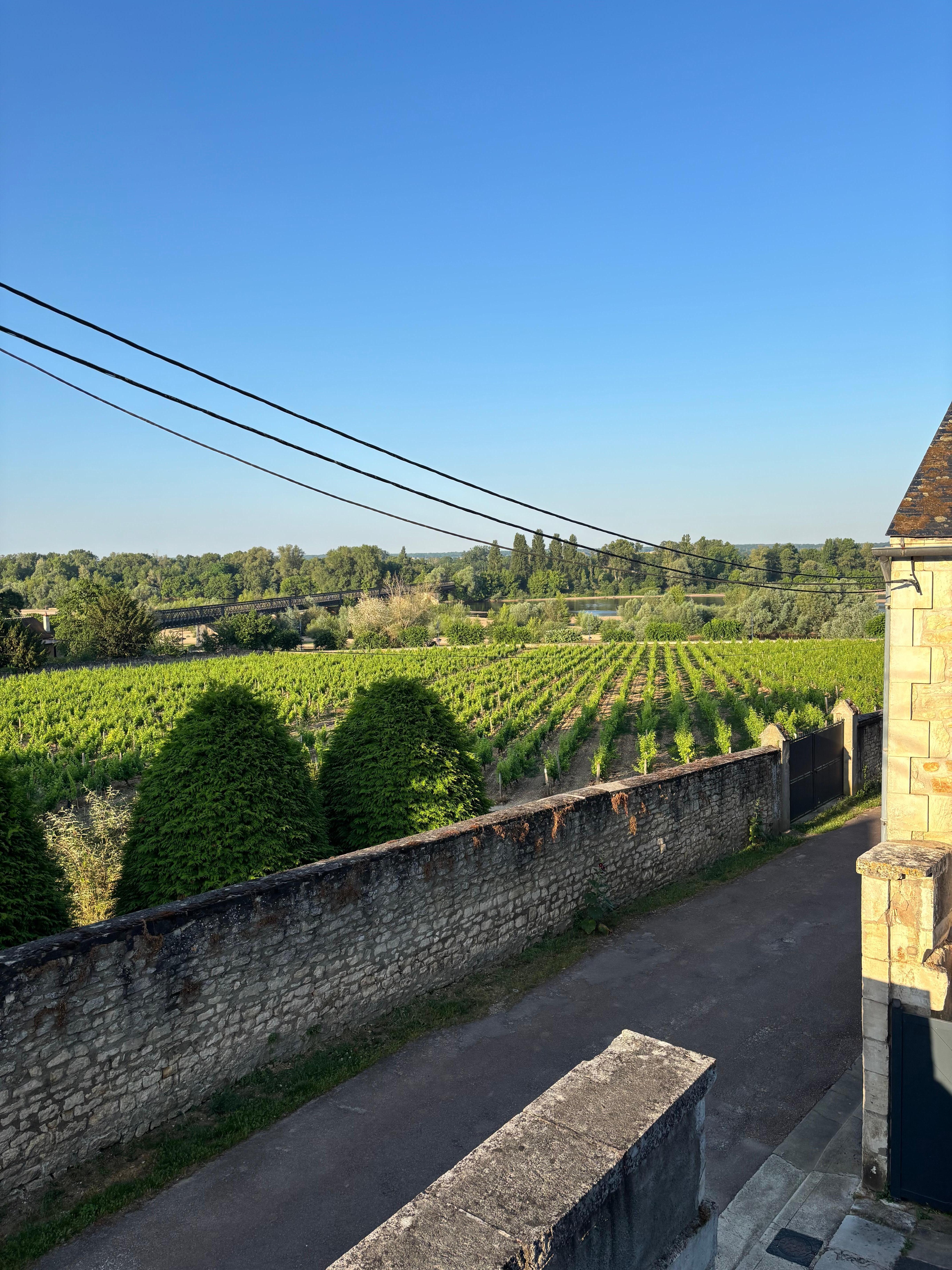 Vue aussi