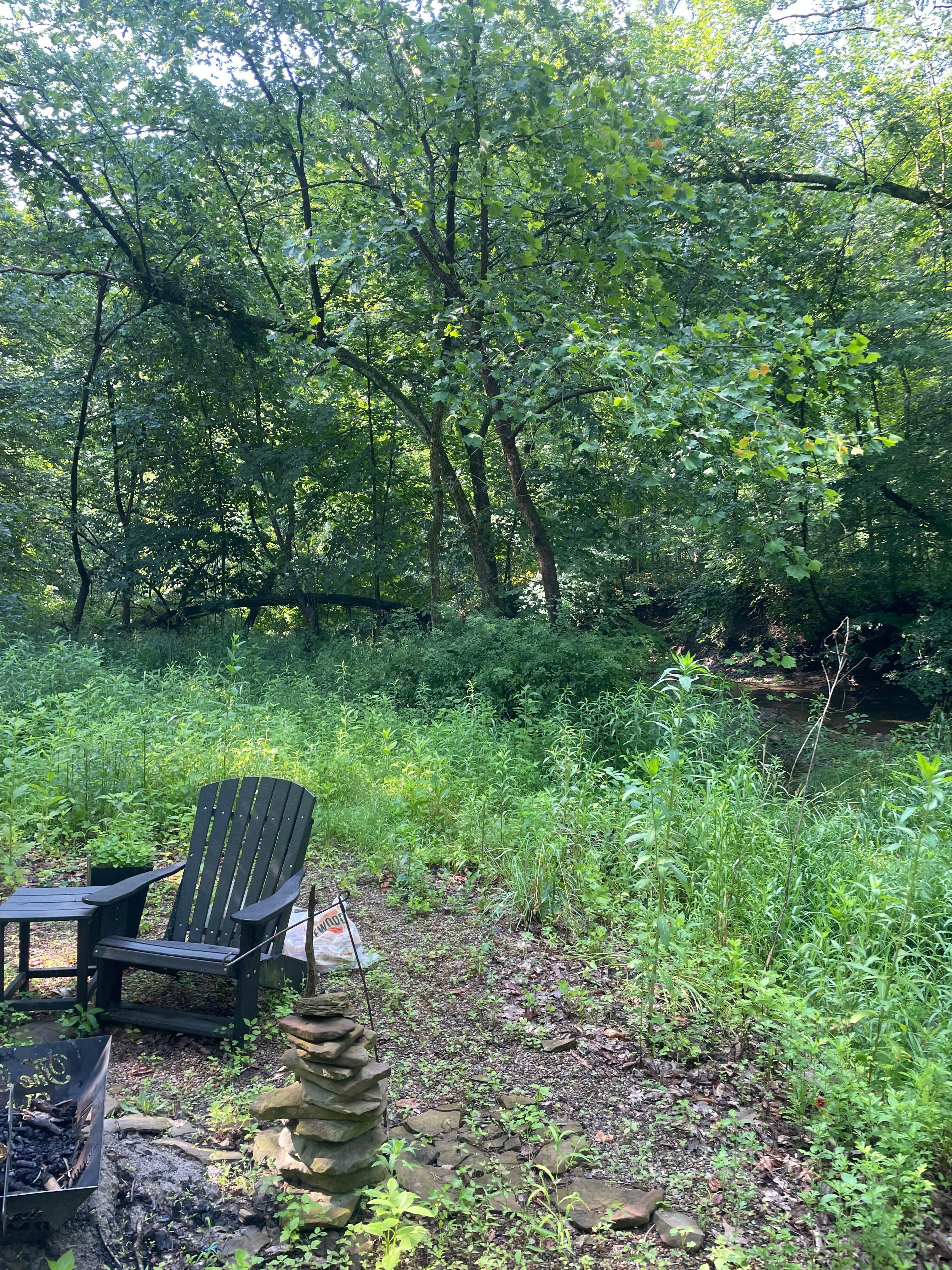 From the firepit