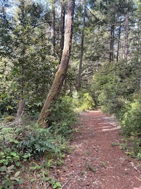 Hiking out your door step!