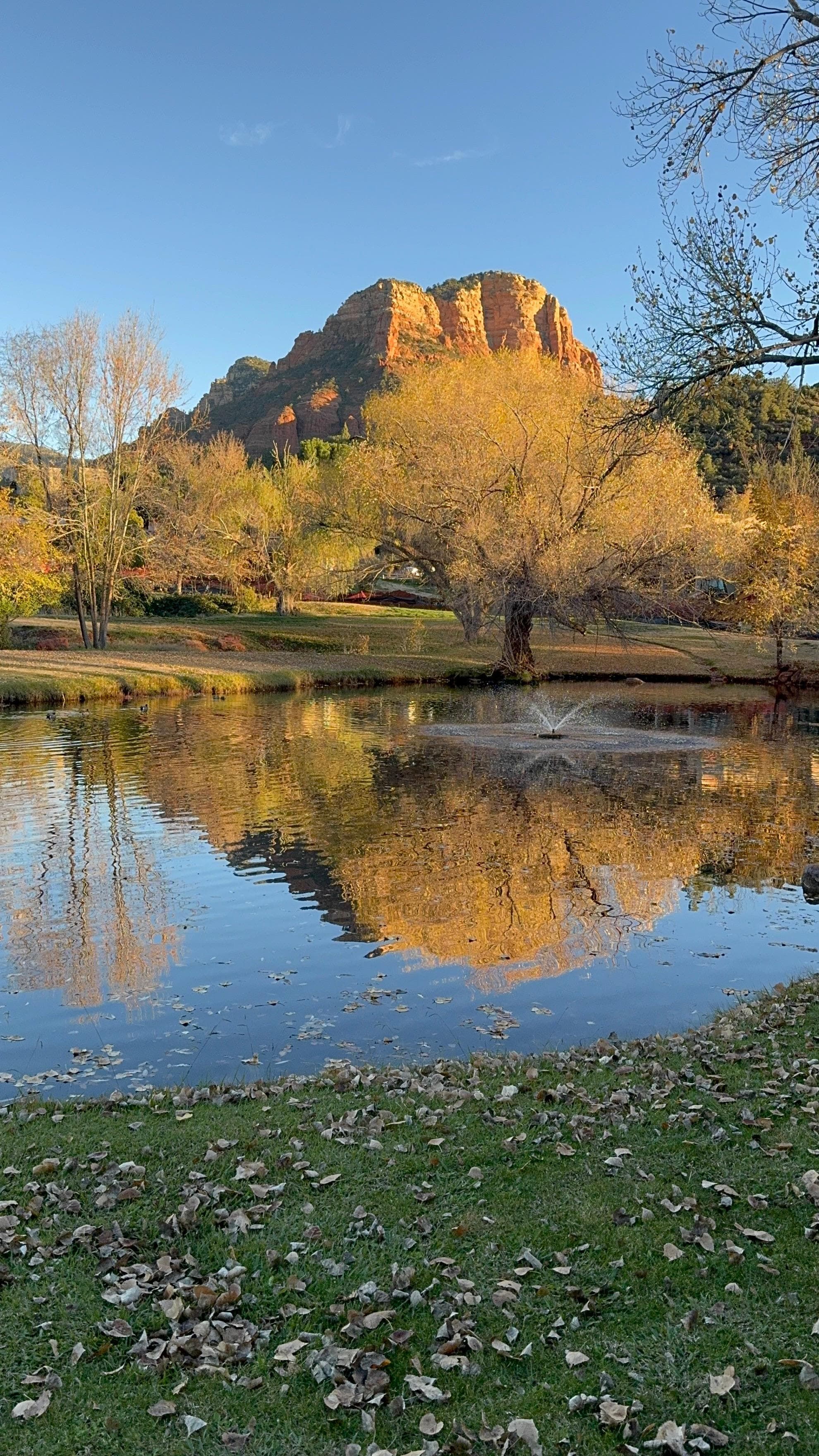 View from our studio 