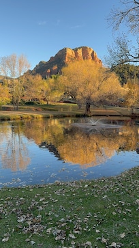 View from our studio