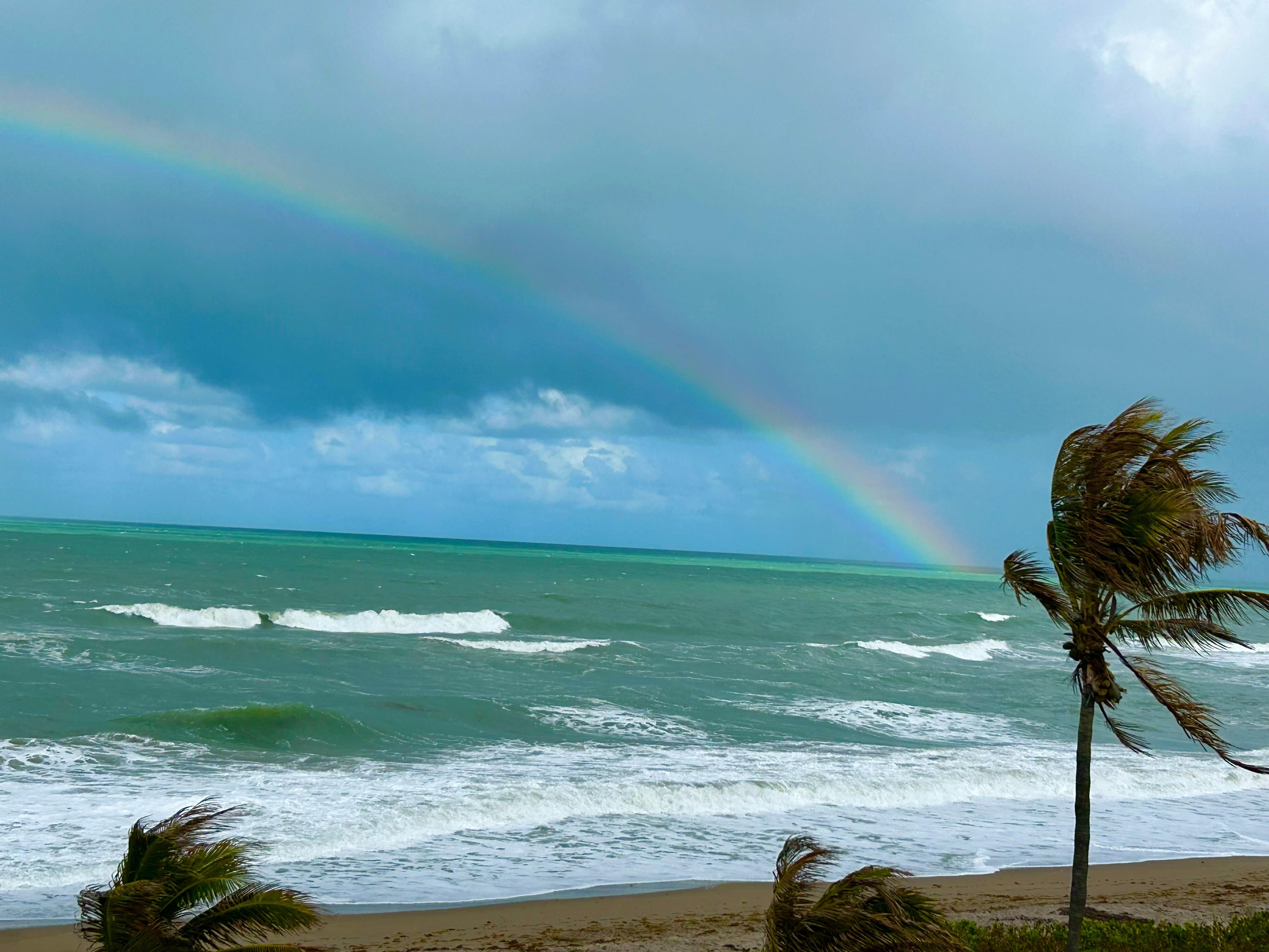 From the balcony with morning breakfast. 