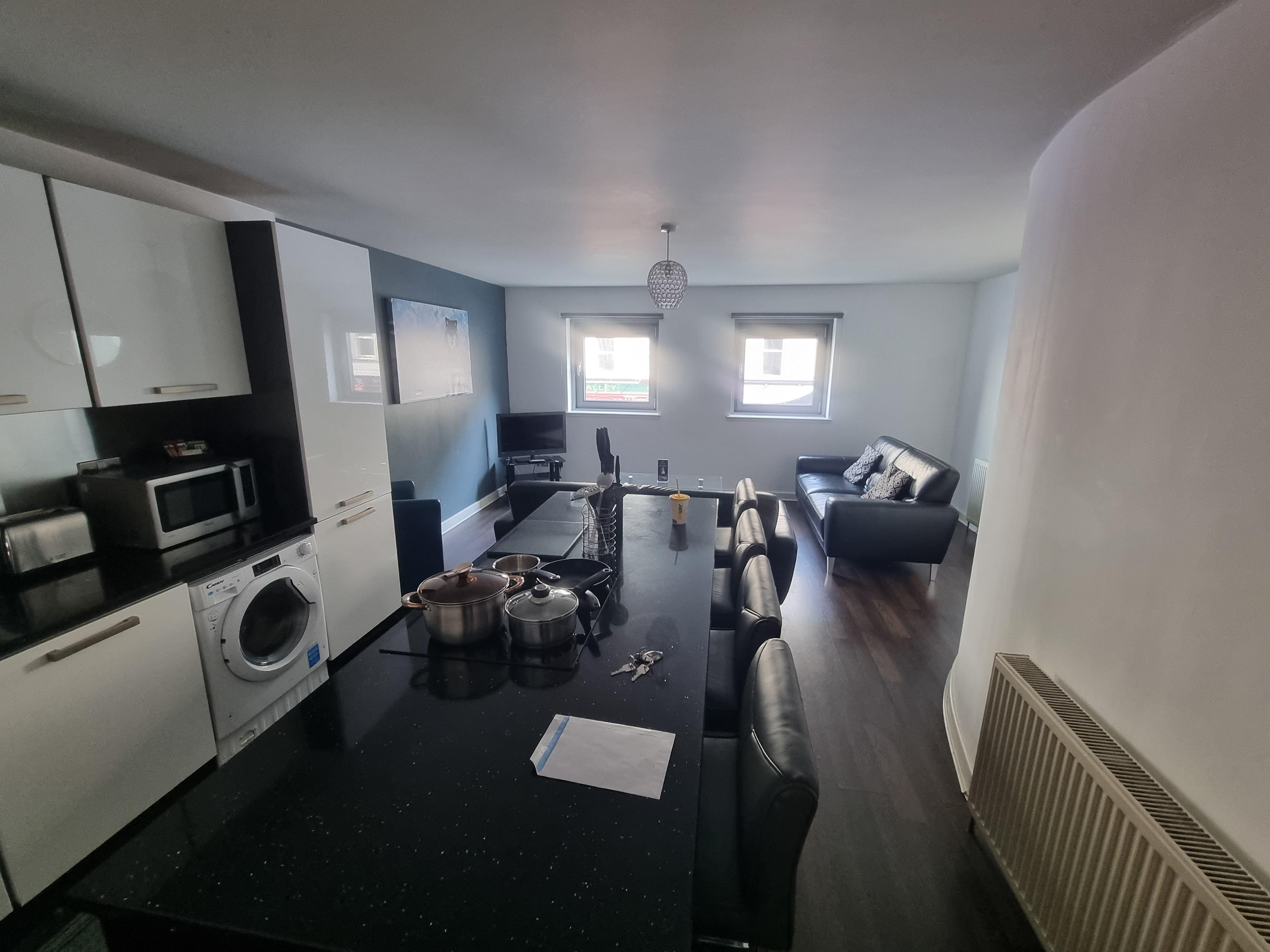 The living room/kitchen of the apartment taken from the door leading to the hallway