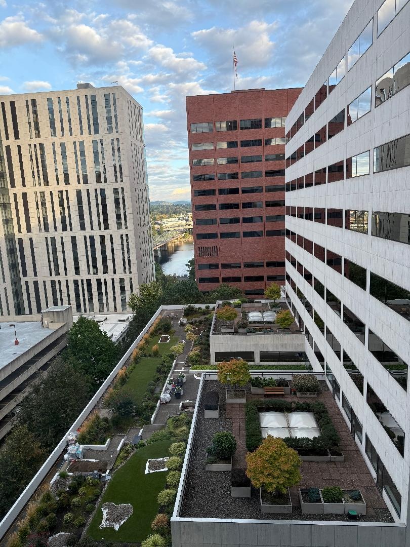 View From the window