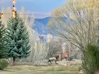View of the stunning Sangre de Cristo Mountains
