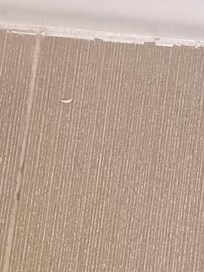That is a toenail clipping