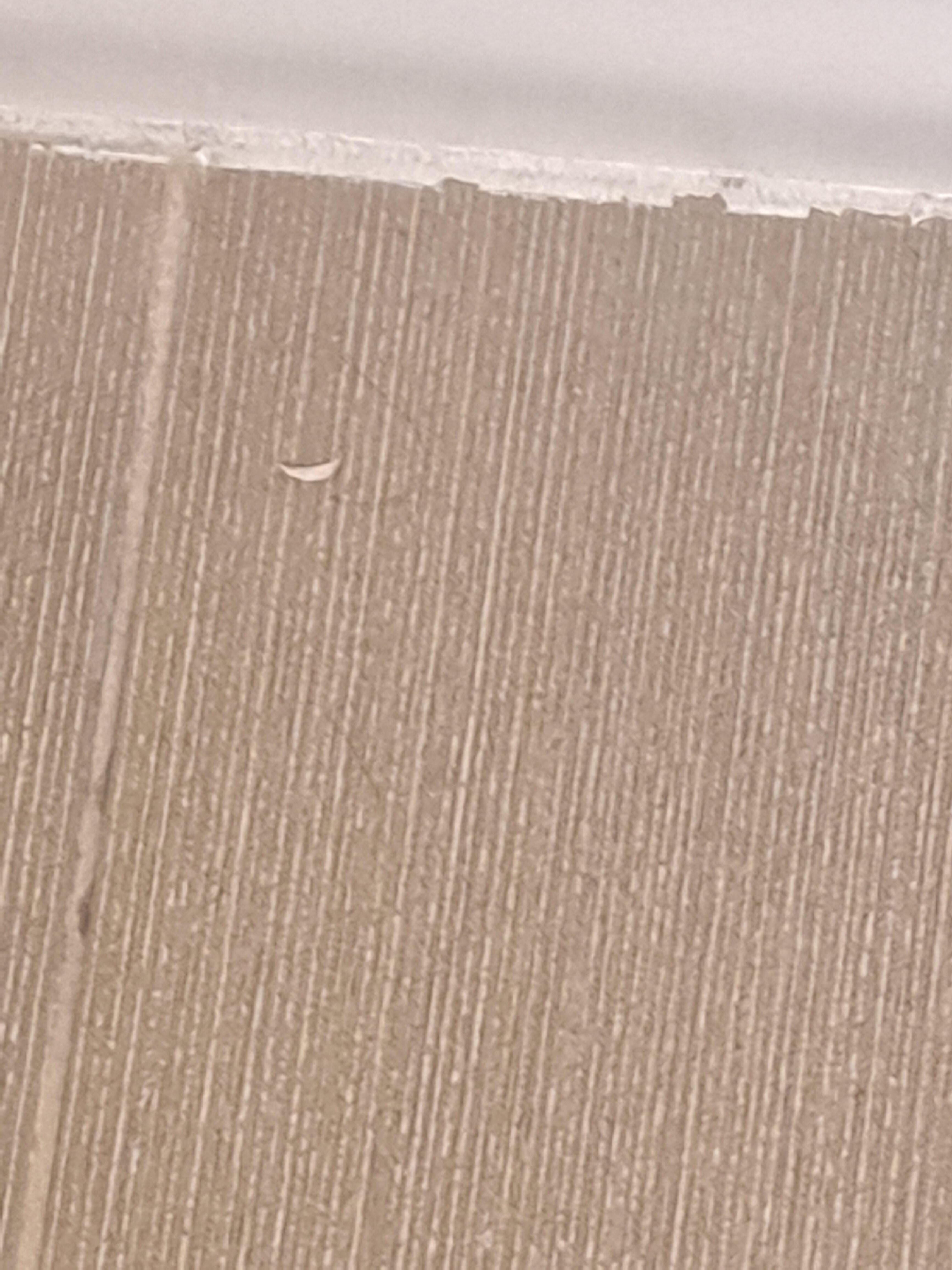 That is a toenail clipping