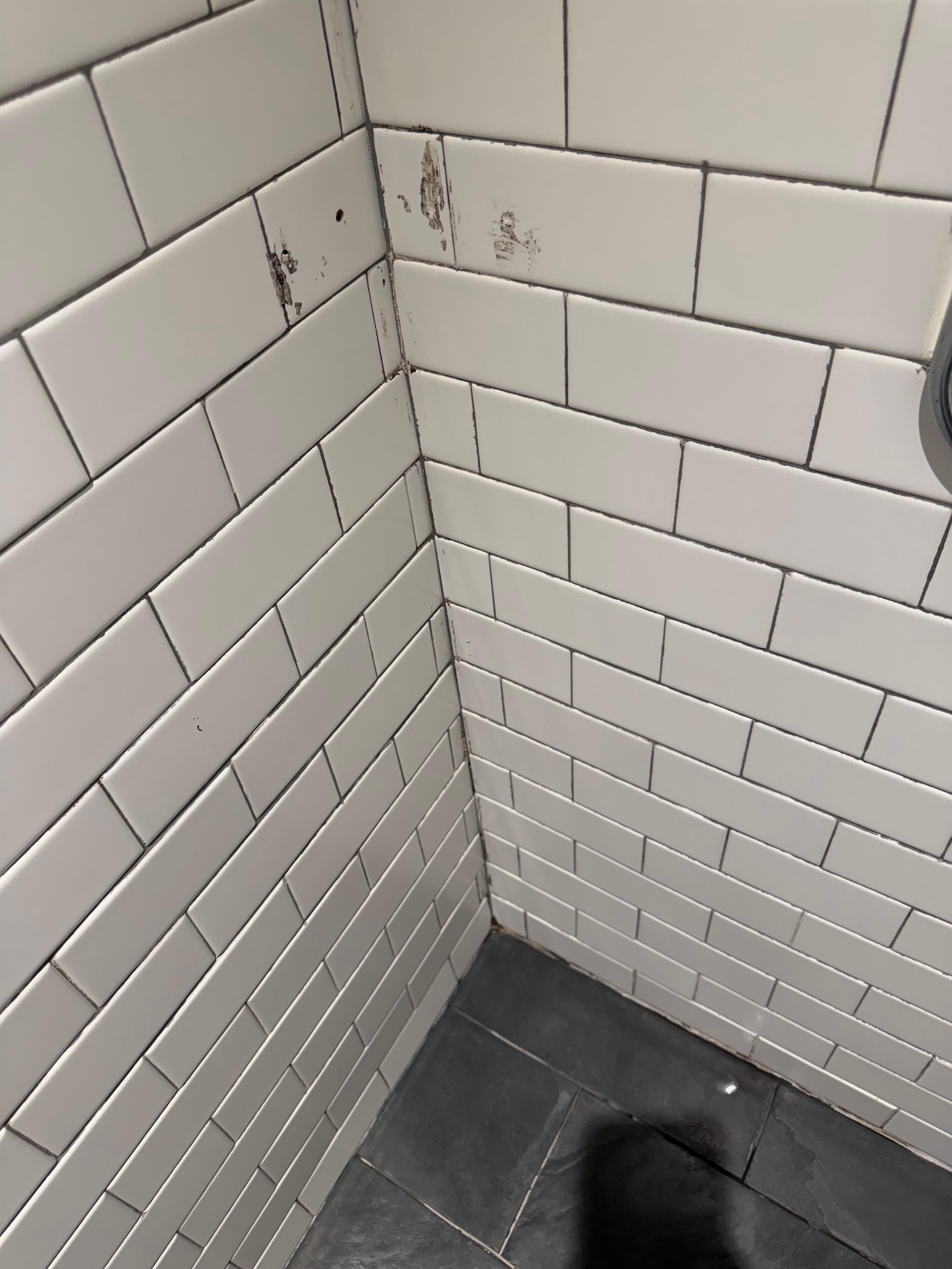 Shower walls upon arrival