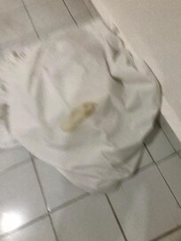 Las sábanas del hotel