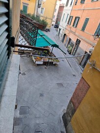 Morning view from our window.