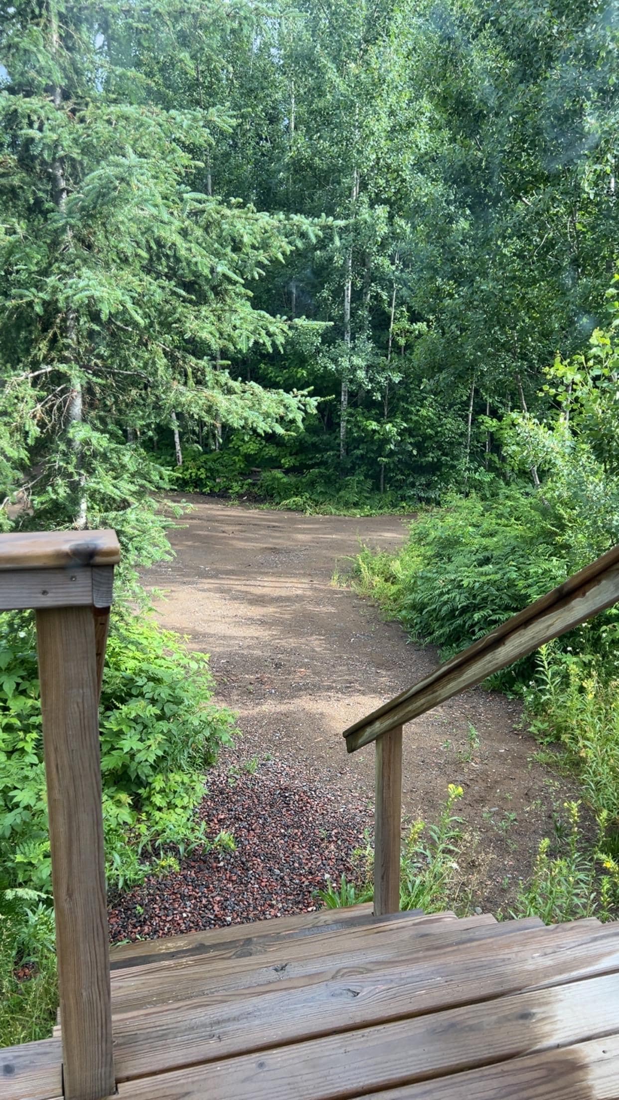 Front steps showing more of the forest. 