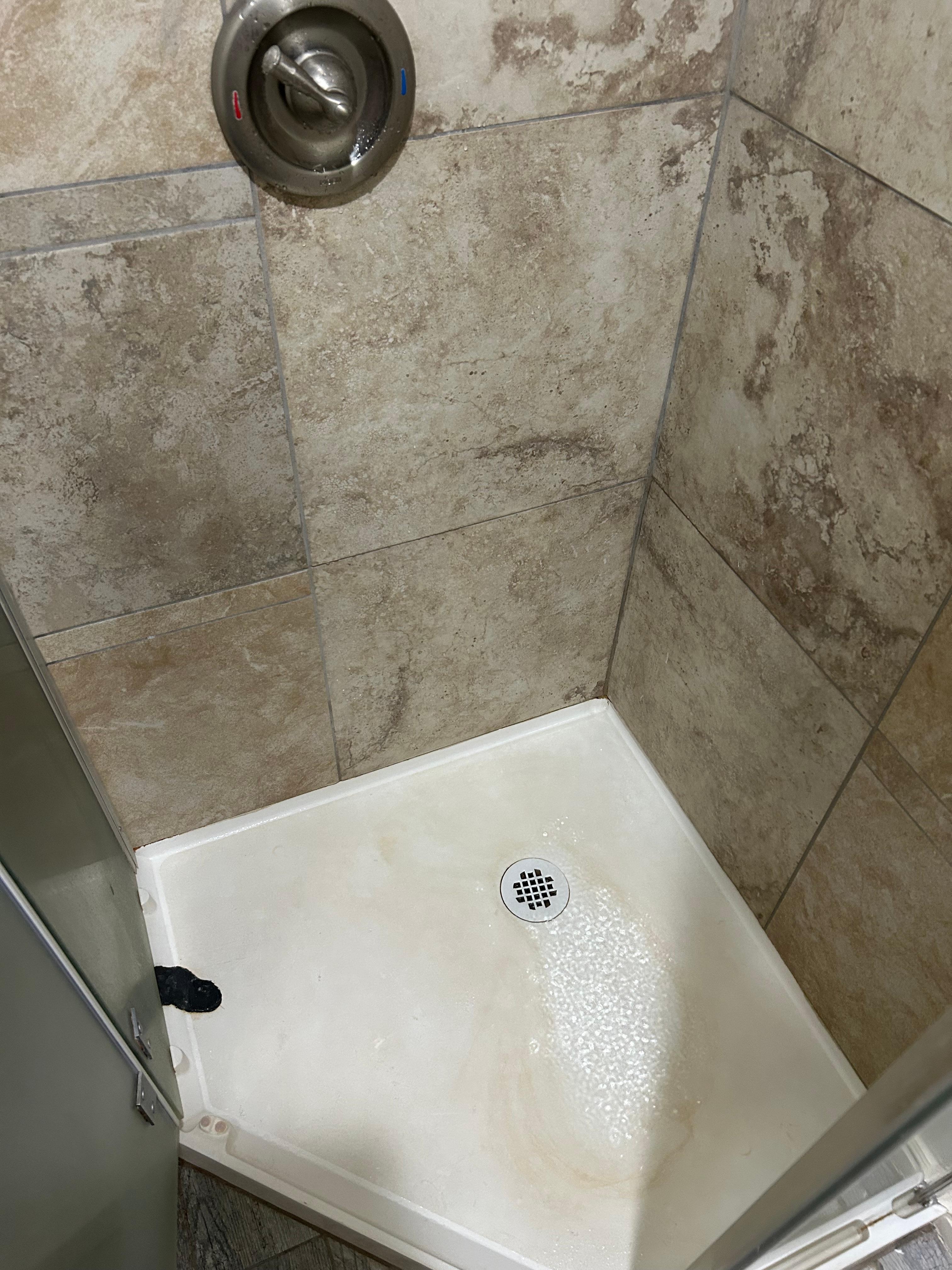 Black ooze in the shower.