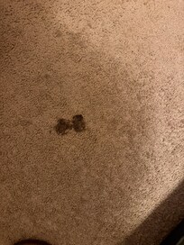 One of the many many many stains