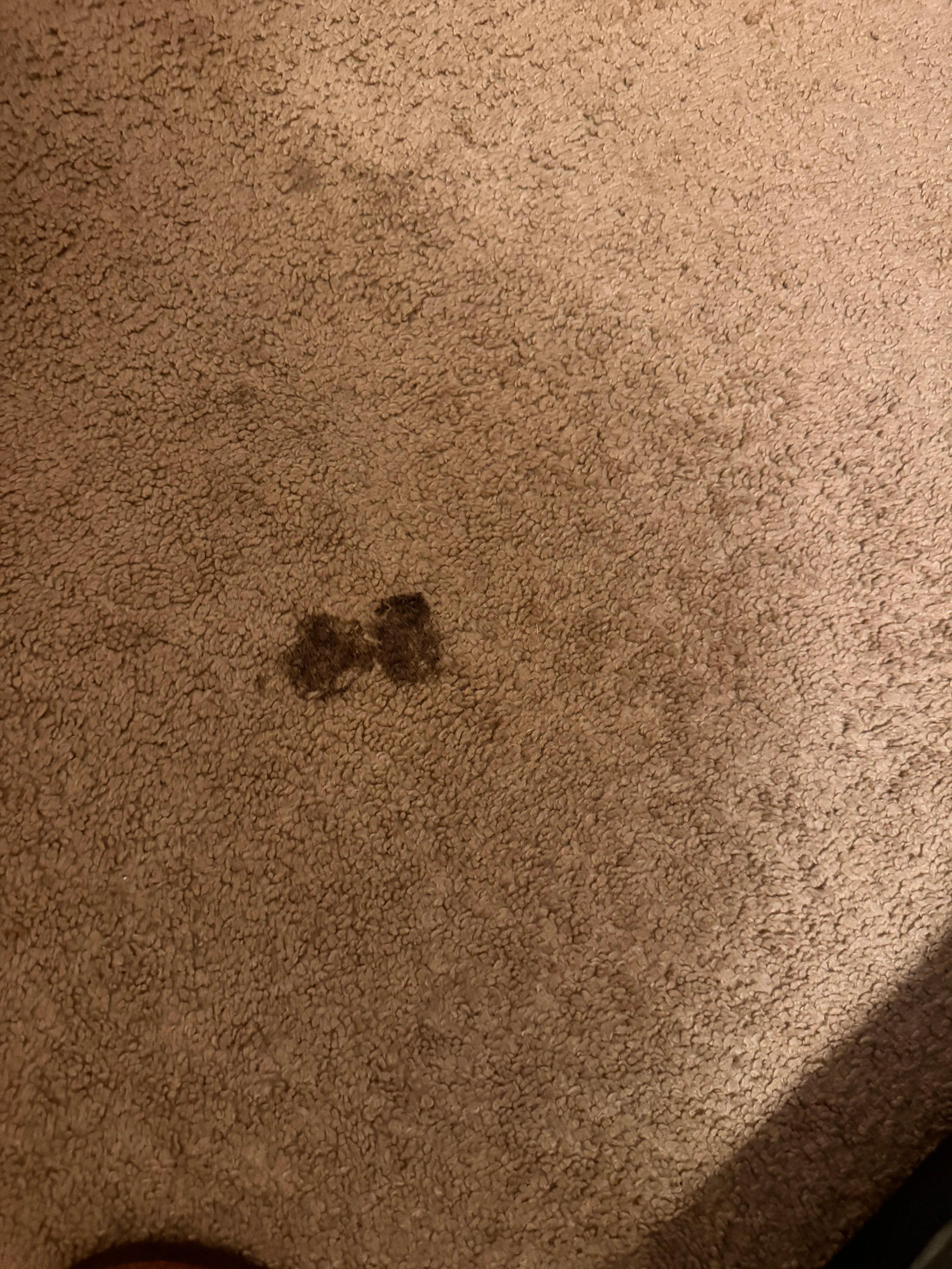 One of the many many many stains