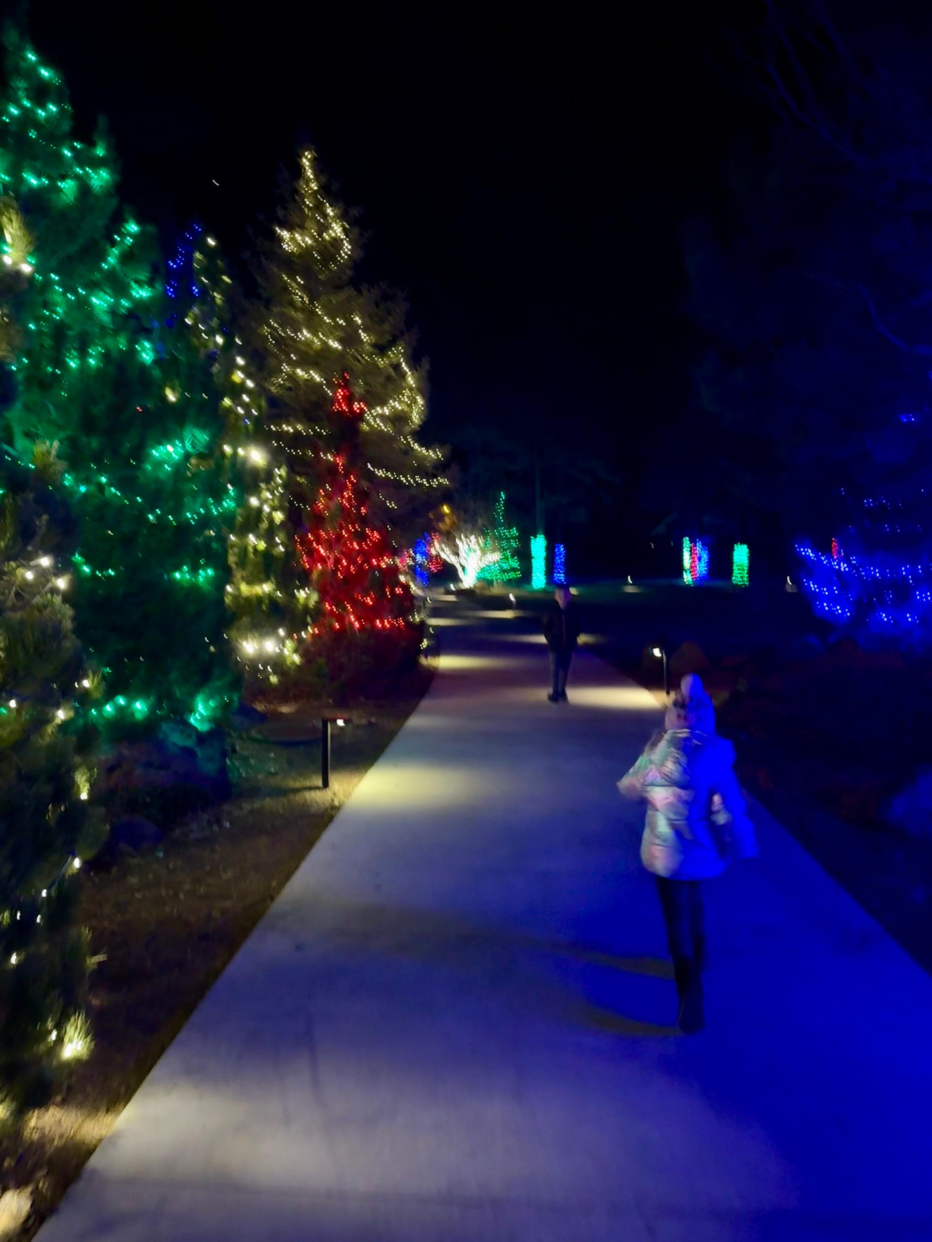 Christmas light trees line the pathways 