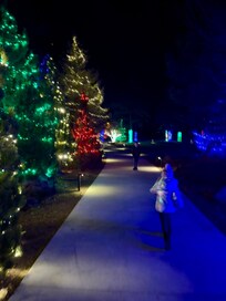 Christmas light trees line the pathways