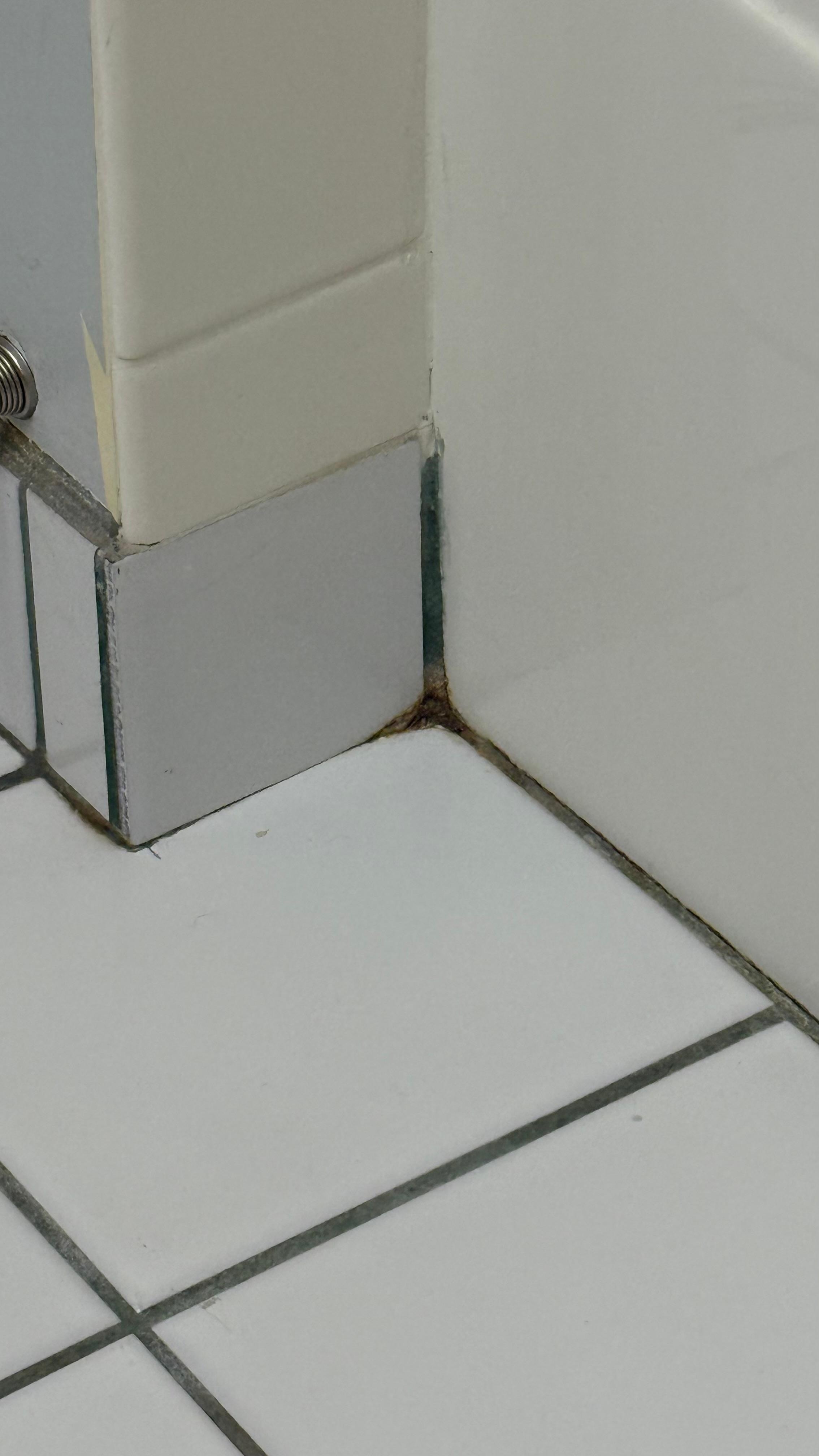 Mold