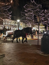 Beautiful Dahlonega Square
