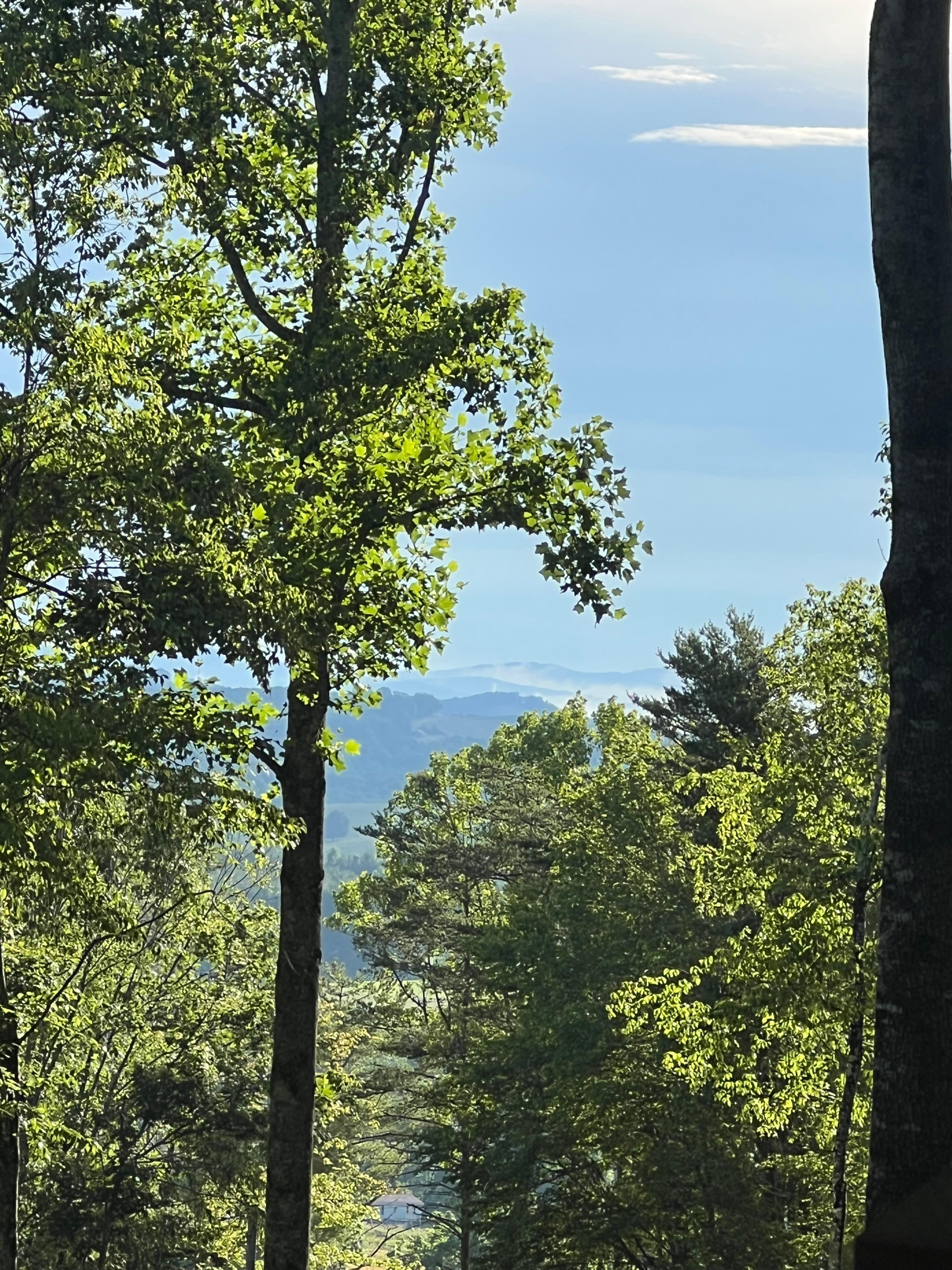 Amazing view 