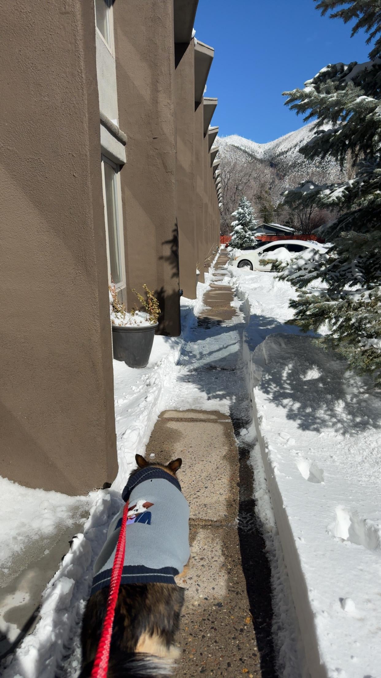 Cleared walkway early, 1 foot of snow!