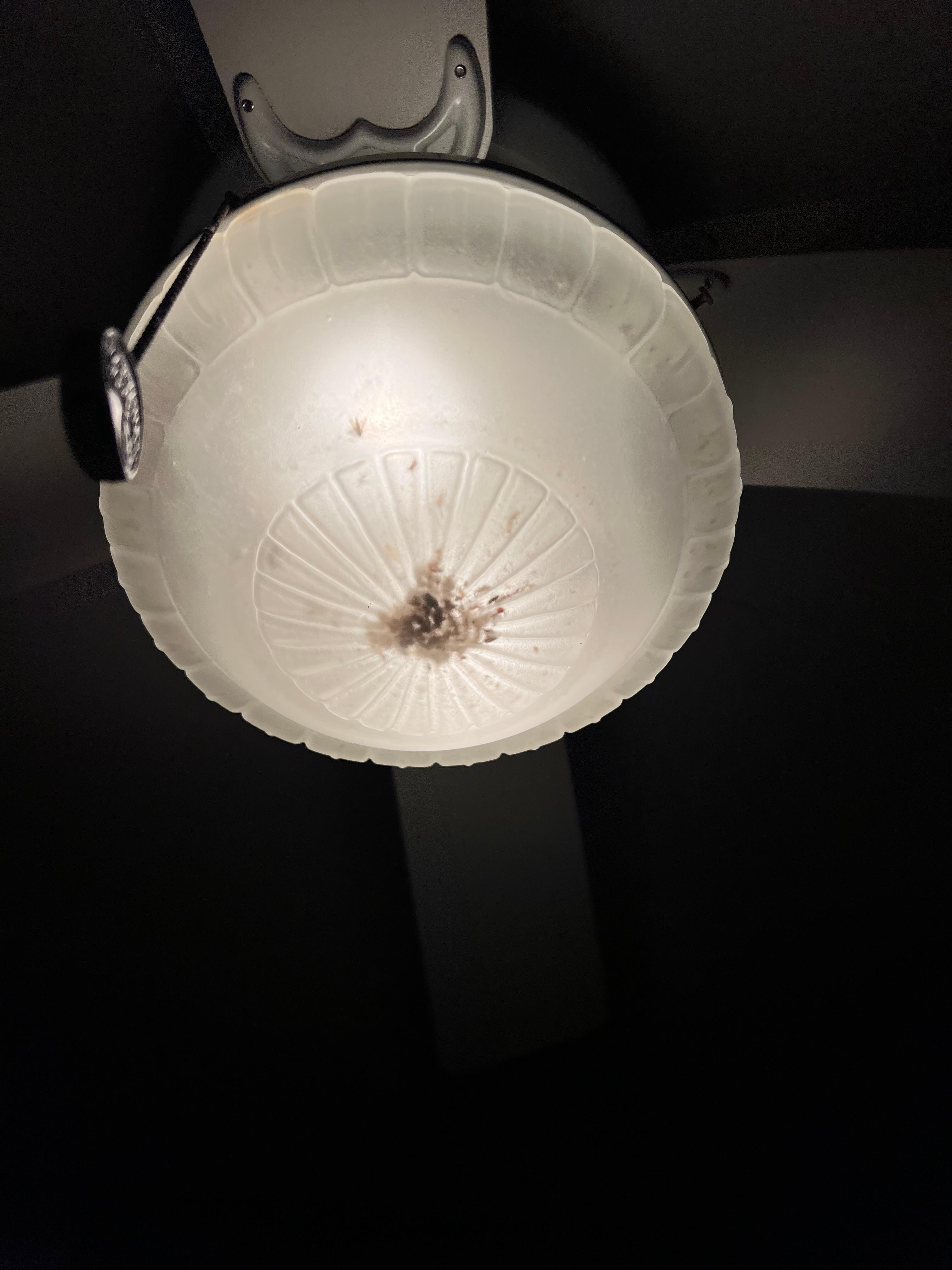 Buggy lights