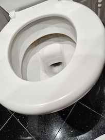 dirty full of scale toilets