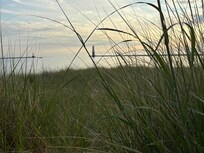 Beach in Frankfort