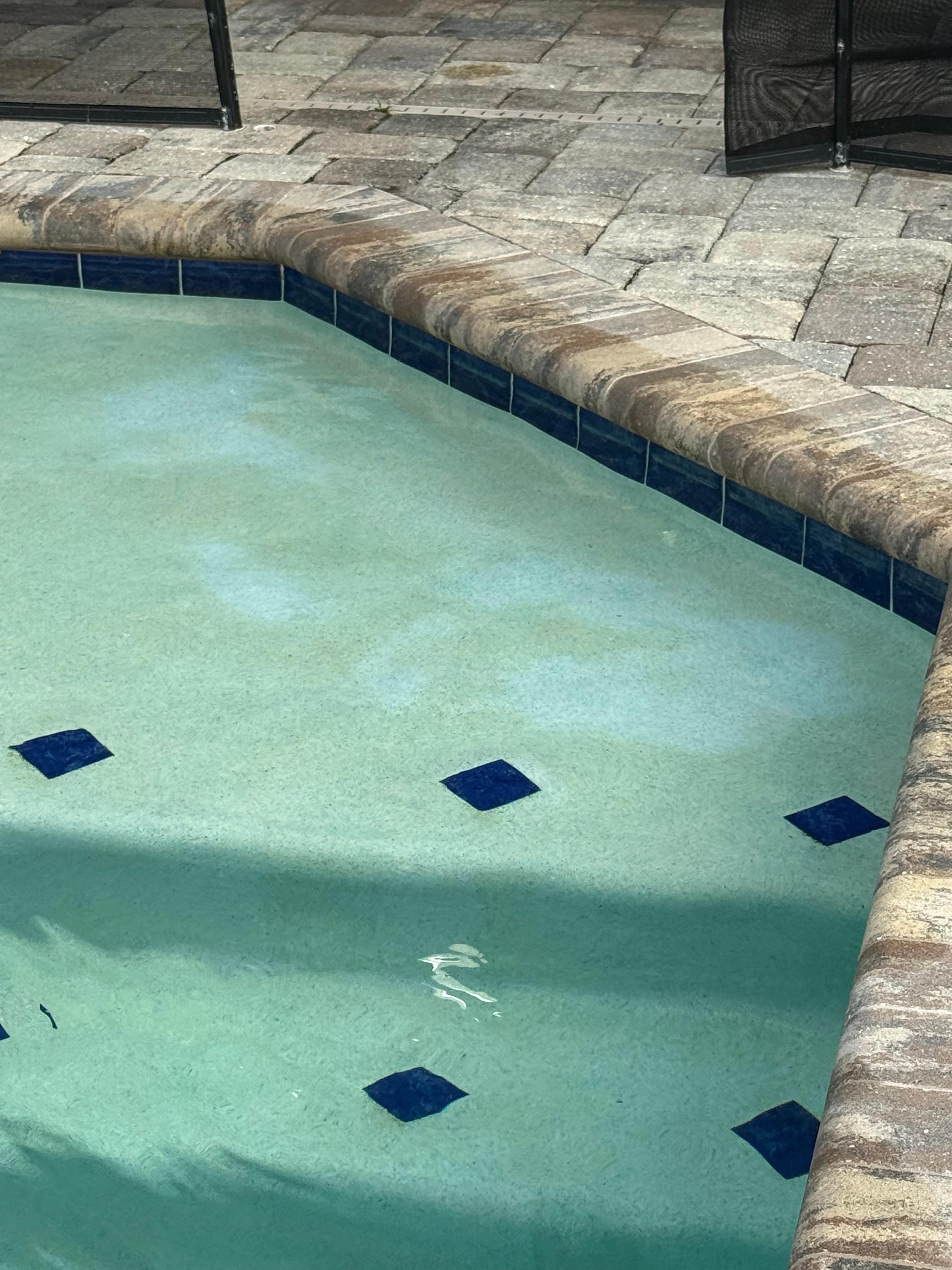 Foot prints of where I stepped in the pool. The pool is green and has a layer of slime