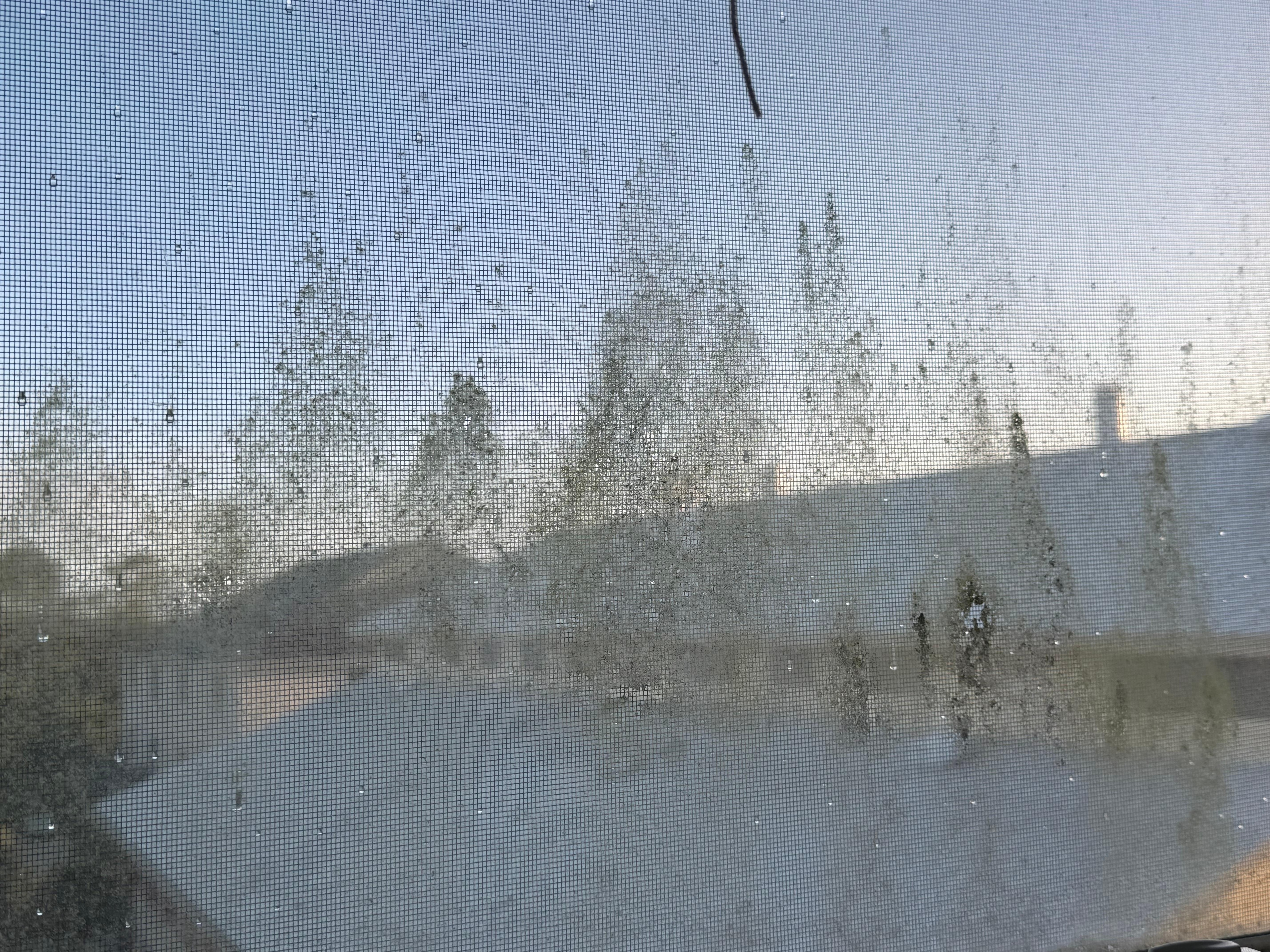 Windows would love a cleaning. Not easy to open - support brackets are worn.