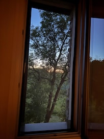 Gorgeous view from 2nd bedroom window