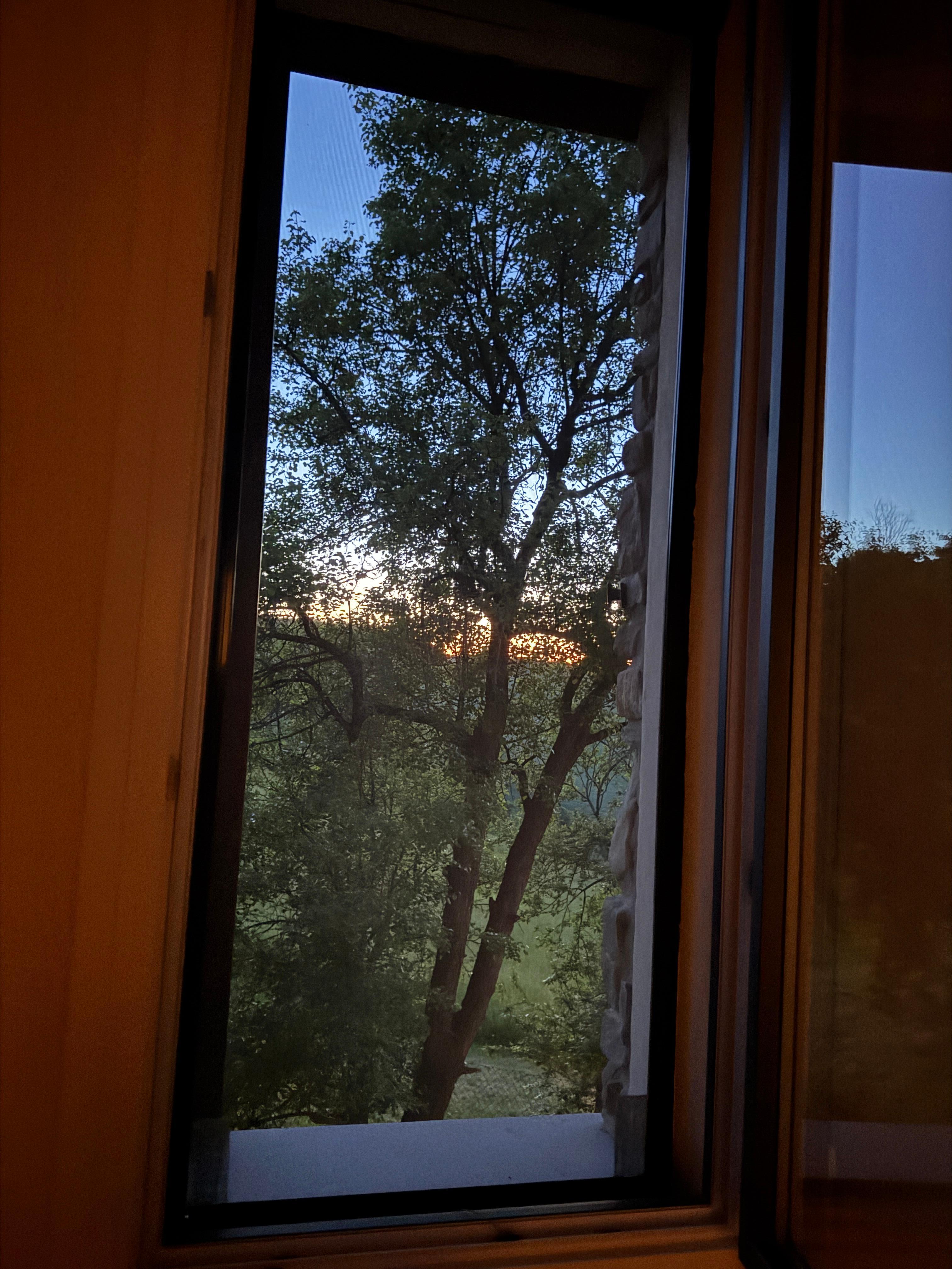 Gorgeous view from 2nd bedroom window