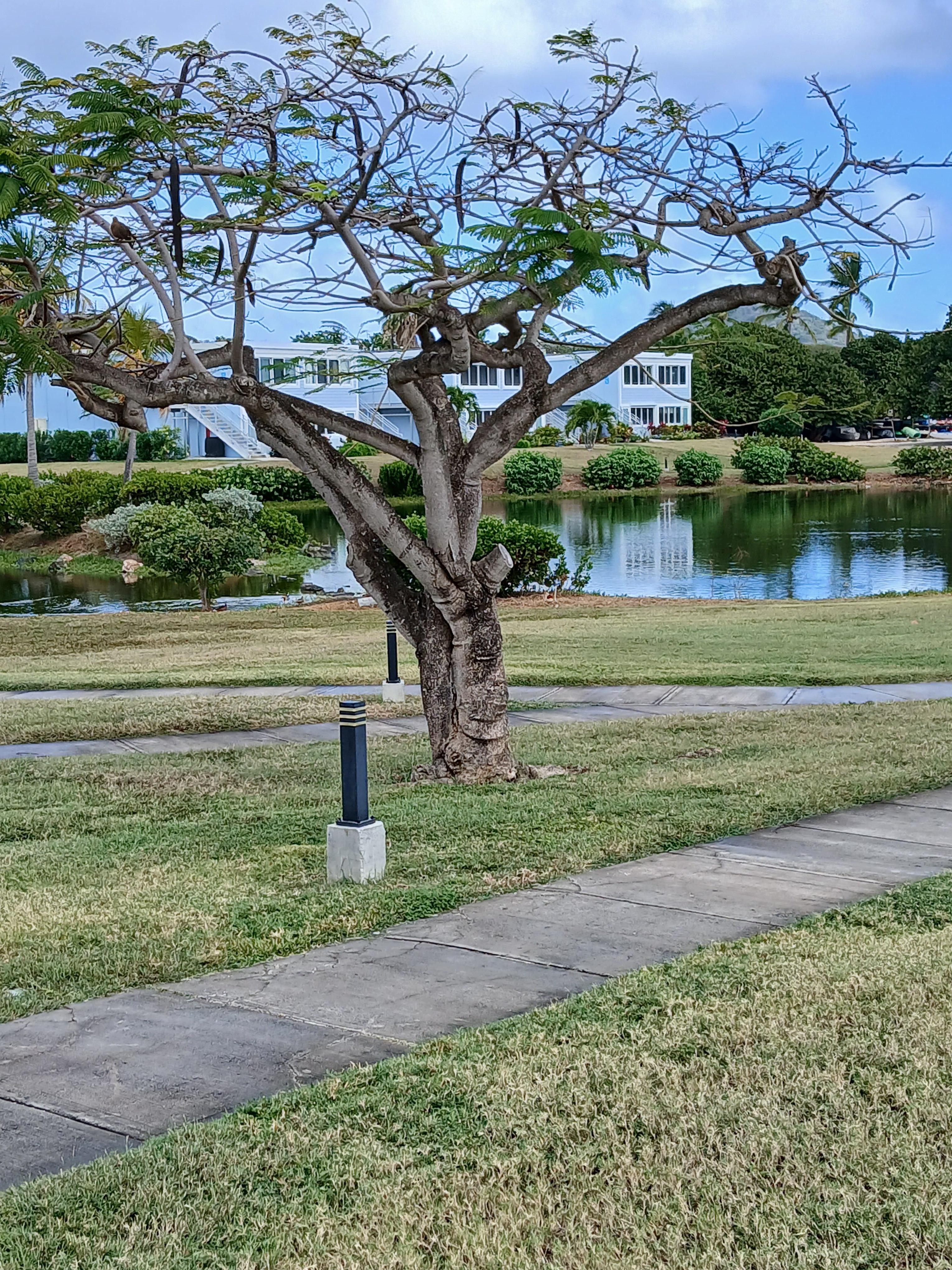 Property with a view!