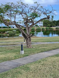 Property with a view!