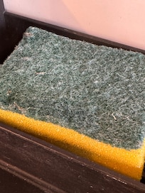 Old sponge left for us to use