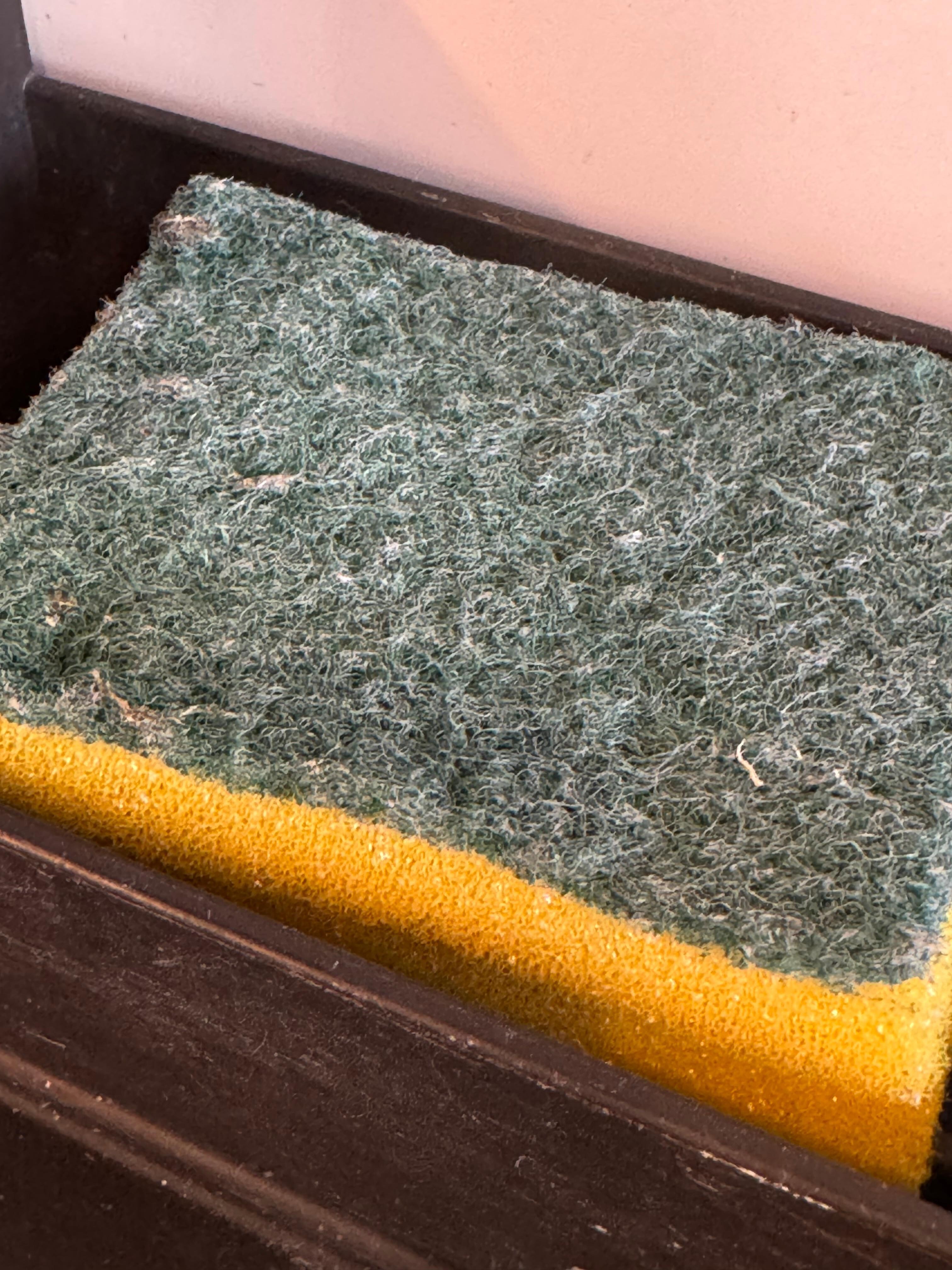 Old sponge left for us to use