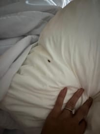 Woke up to baby roach