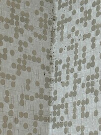 Black mold in the corner of the bathroom