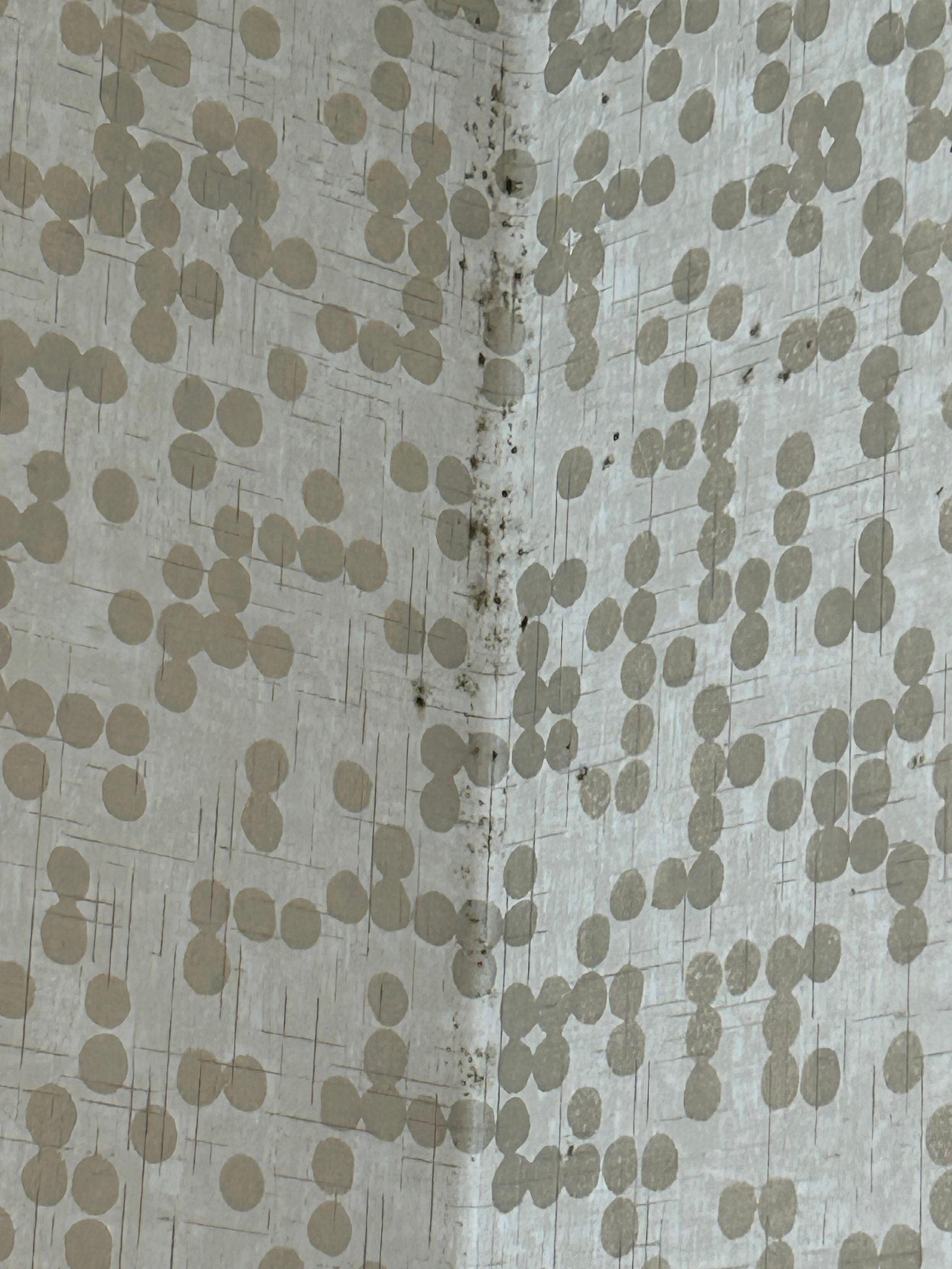 Black mold in the corner of the bathroom 