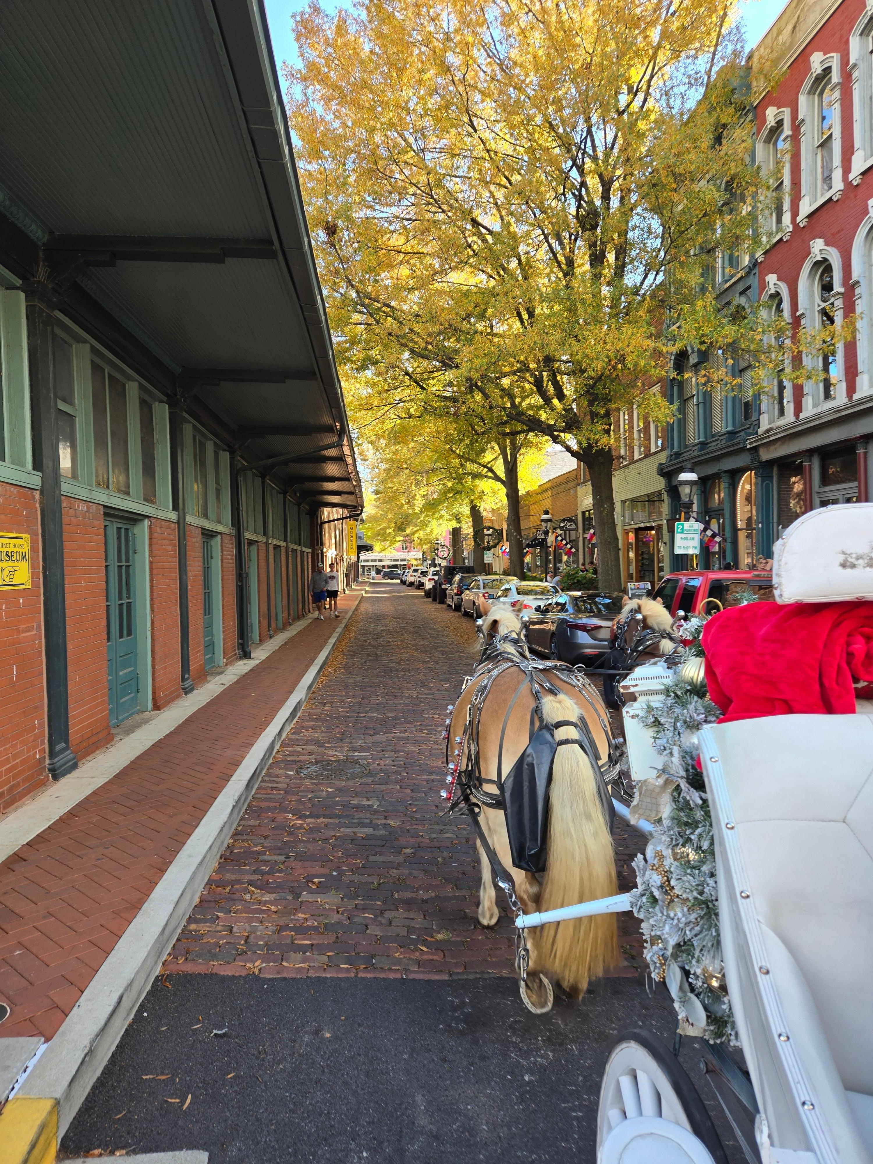 Took a 5 minute free carriage ride downtown. 