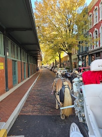 Took a 5 minute free carriage ride downtown.